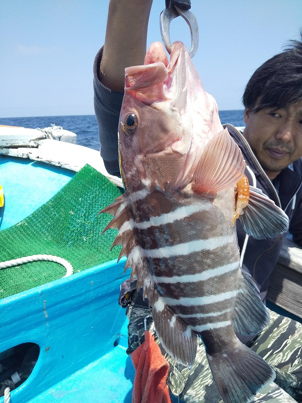 DSC_1386.jpg